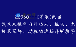 Z0930---[学浪]武当武术太极拳内丹功夫，桩功，无极居家静、动桩功逐招详解教学