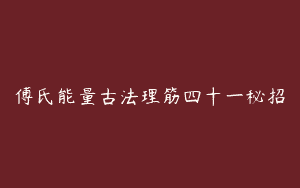 傅氏能量古法理筋四十一秘招