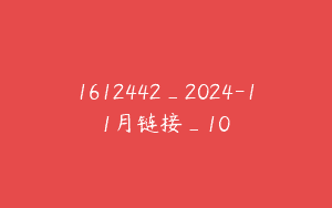 1612442_2024-11月链接_10