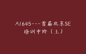 A1645—首届北京SE培训中阶（上）
