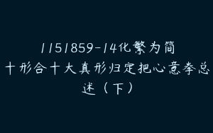 1151859-14化繁为简十形合十大真形归定把心意拳总述（下）