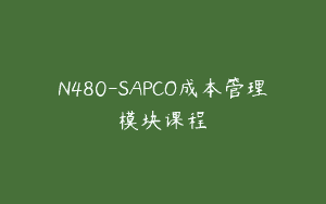 N480-SAPCO成本管理模块课程