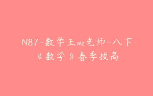 N87-数学王wz老师-八下《数学》春季拔高