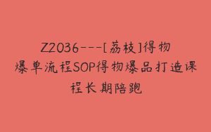 Z2036—[荔枝]得物爆单流程SOP得物爆品打造课程长期陪跑
