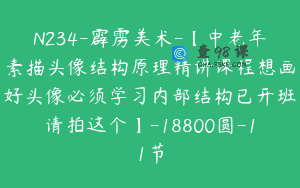 N234-霹雳美术-【中老年素描头像结构原理精讲课程想画好头像必须学习内部结构已开班请拍这个】-18800圆-11节