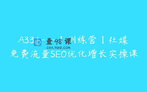 A331—【训练营】社媒免费流量SEO优化增长实操课