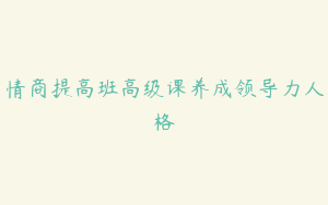 情商提高班高级课养成领导力人格