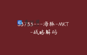 S3733---海豚-MKT-战略解码
