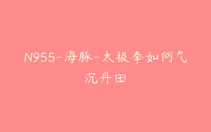 N955-海豚-太极拳如何气沉丹田