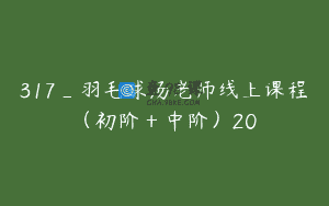 317_羽毛球汤老师线上课程（初阶＋中阶）20