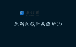 原靳氏截针高级班(1)
