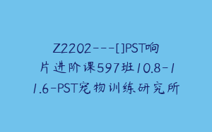 Z2202---[]PST响片进阶课597班10.8-11.6-PST宠物训练研究所