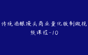 传统酒酿馒头商业量化版制做视频课程-10