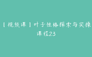 【视频课】叶子性格探索与实操课程23