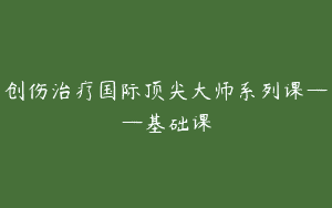 创伤治疗国际顶尖大师系列课——基础课