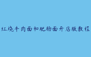 红烧牛肉面和肥肠面开店版教程