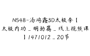 N548-汤鸿鑫3D太极拳【太极内功_明劲篇_线上视频课】1471012_20节