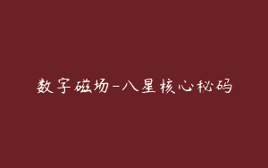 数字磁场-八星核心秘码