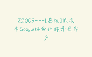 Z2009—[荔枝]低成本Google结合社媒开发客户
