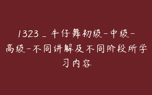 1323_牛仔舞初级-中级-高级-不同讲解及不同阶段所学习内容