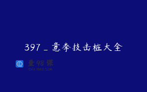 397_意拳技击桩大全