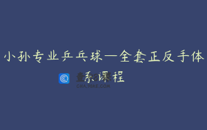 小孙专业乒乓球—全套正反手体系课程