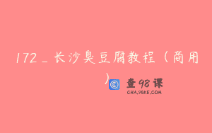 172_长沙臭豆腐教程（商用）