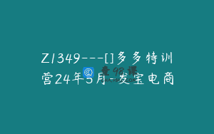 Z1349—[]多多特训营24年5月-发宝电商