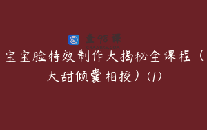 宝宝脸特效制作大揭秘全课程（大甜倾囊相授）(1)