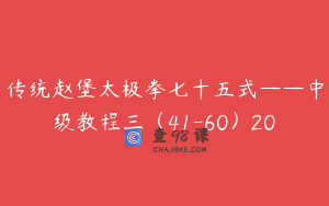 传统赵堡太极拳七十五式——中级教程三（41-60）20