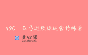 490_亚马逊数据运营特练营