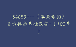 34659---（苹果专拍）自由搏击基础教学-【100节】