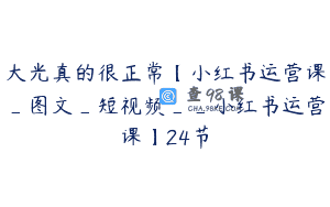 大光真的很正常【小红书运营课_图文_短视频__小红书运营课】24节