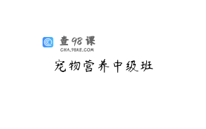 宠物营养中级班