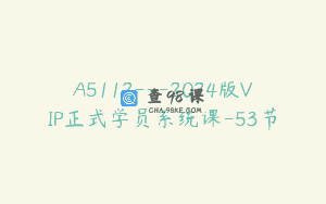 A5112—2024版VIP正式学员系统课-53节
