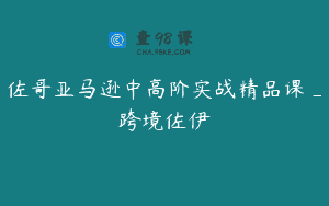 佐哥亚马逊中高阶实战精品课_跨境佐伊