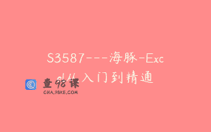 S3587—海豚-Excel从入门到精通
