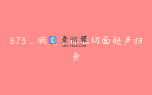 873_腕关节标准切面超声扫查
