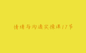 情绪与沟通实操课17节