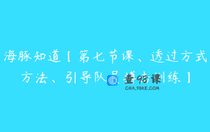 海豚知道【第七节课、透过方式方法、引导队员搏击训练】