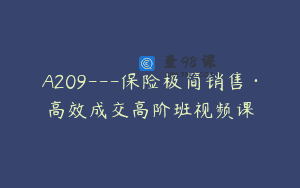 A209—保险极简销售·高效成交高阶班视频课