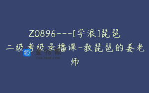 Z0896---[学浪]琵琶二级考级录播课-教琵琶的姜老师