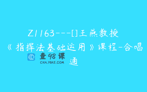 Z1163—[]王燕教授《指挥法基础运用》课程-合唱通