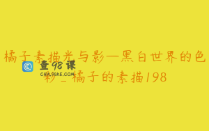 橘子素描光与影—黑白世界的色彩_橘子的素描198