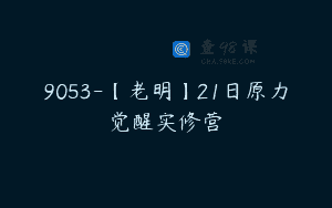 9053-【老明】21日原力觉醒实修营
