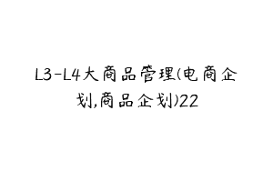 L3-L4大商品管理(电商企划,商品企划)22