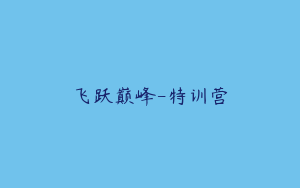 飞跃巅峰-特训营
