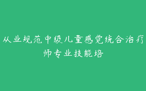 从业规范中级儿童感觉统合治疗师专业技能培