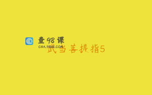武当菩提指5