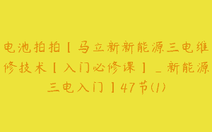 电池拍拍【马立新新能源三电维修技术【入门必修课】_新能源三电入门】47节(1)